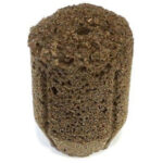 IHORT QPLUG Round - Seed Starters - Kinnabis Seeds Superstore