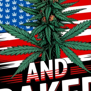 Red White and Baked Crop Top Hoodie