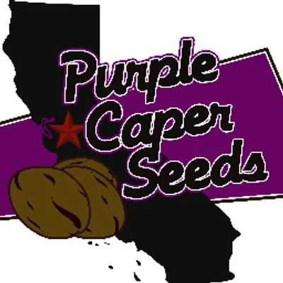 Purple Caper Seeds