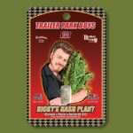 Ricky's Hash Plant Feminized Seeds