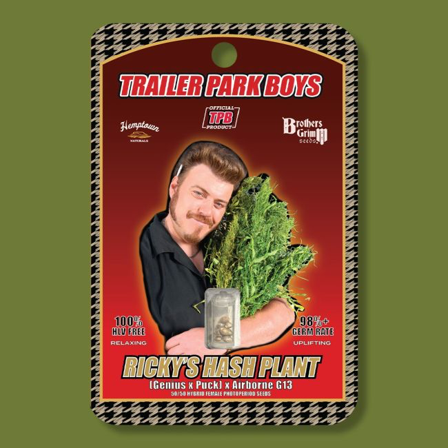 Ricky's Hash Plant Feminized Seeds