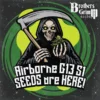 Airborne G13 S1 Feminized Seeds 1 Airborne G13 S1 Feminized Seeds