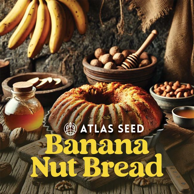 Banana Nut Bread Feminized Seeds – Atlas Seeds