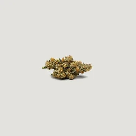 Betty Ford Feminized Seeds