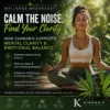 WELLNESS WEDNESDAY #1