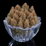 Cinderella Purple Feminized Seeds 4 Cinderella Purple Feminized Seeds