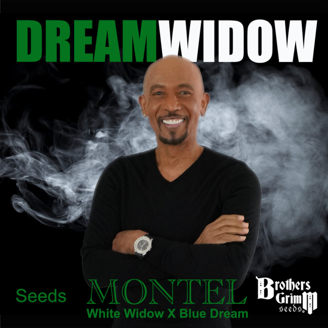 Montel's Dream Widow Feminized Seeds