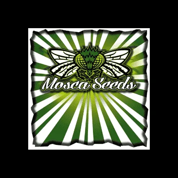 Mosca Seeds