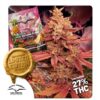 Pink Banana Runtz Ltd Edition Feminized Seeds 2 Pink Banana Runtz Ltd Edition Feminized Seeds