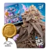 Slush Mint Cake BX1 Regular Seeds 2 Slush Mint Cake BX1 Regular Seeds