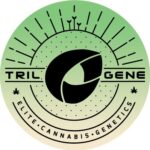 Trilogene Seeds