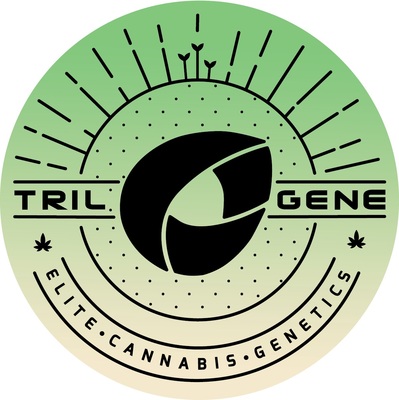 Trilogene Seeds