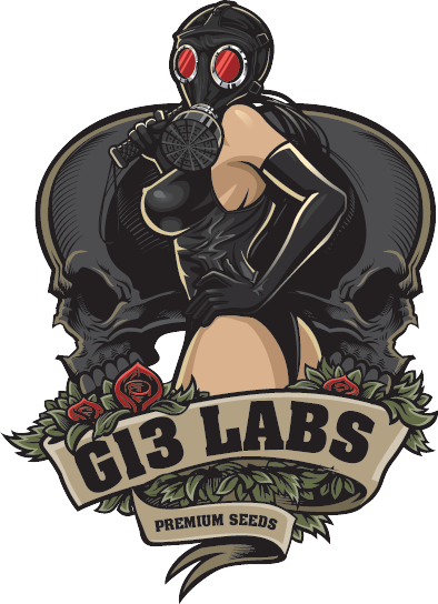 G13 Labs