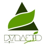 Pyramid Seeds