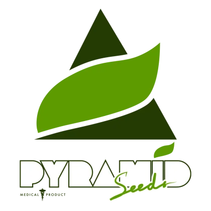 Pyramid Seeds