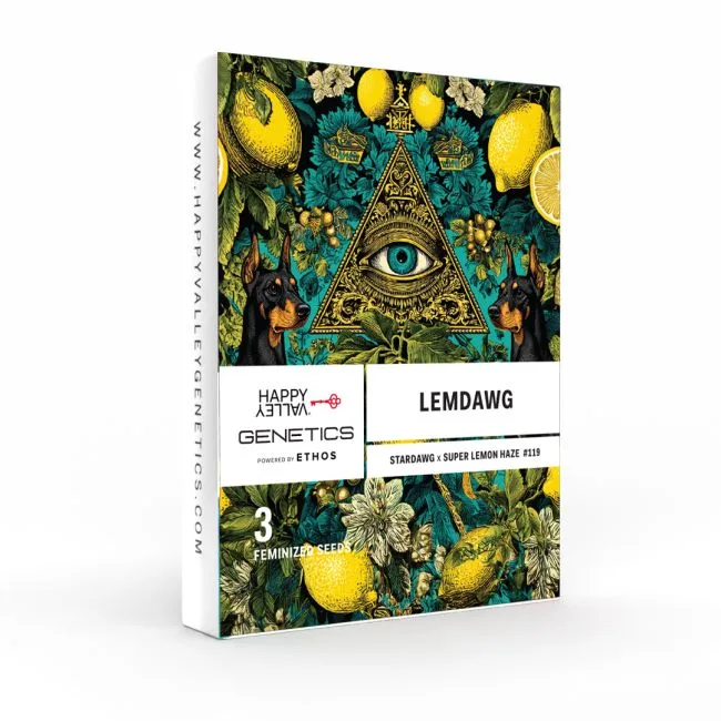 🍋⛽ LEMDAWG FEMINIZED SEEDS
