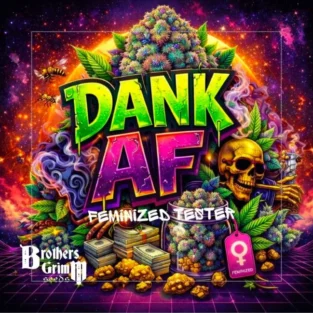 Dank AF Feminized Seeds