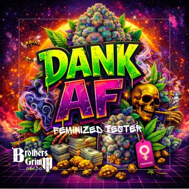 Authorized Cannabis Seeds Superstore Kinnabis 7 Dank AF Feminized Seeds