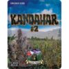 Kandahar Arghandab #2 Regular Seeds 1 Kandahar Arghandab #2 Regular Seeds