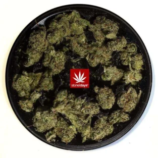 Grinder