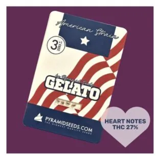 Gelato Feminized Seeds