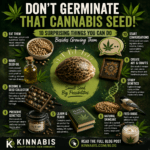 Dont germinate that Cannabis Seed