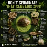 Dont germinate that Cannabis Seed