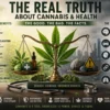 The Real Truth About annabis.