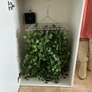 Magic Herb Dryer 4.0 - 30 Plant Drying Box