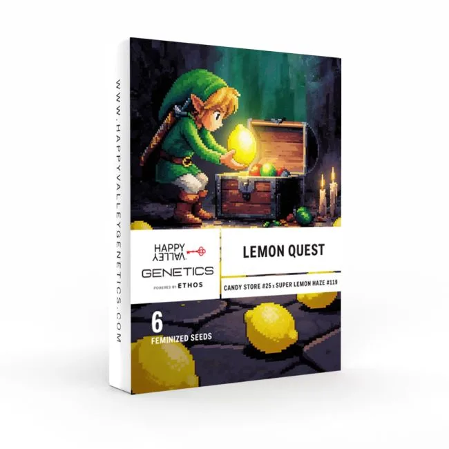 Lemon Quest Feminized Seeds