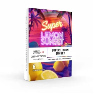 Super Lemon Sunset Feminized Seeds