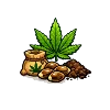 Category Cannabis Seeds