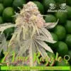 Z Lime Razzle Feminized Seeds