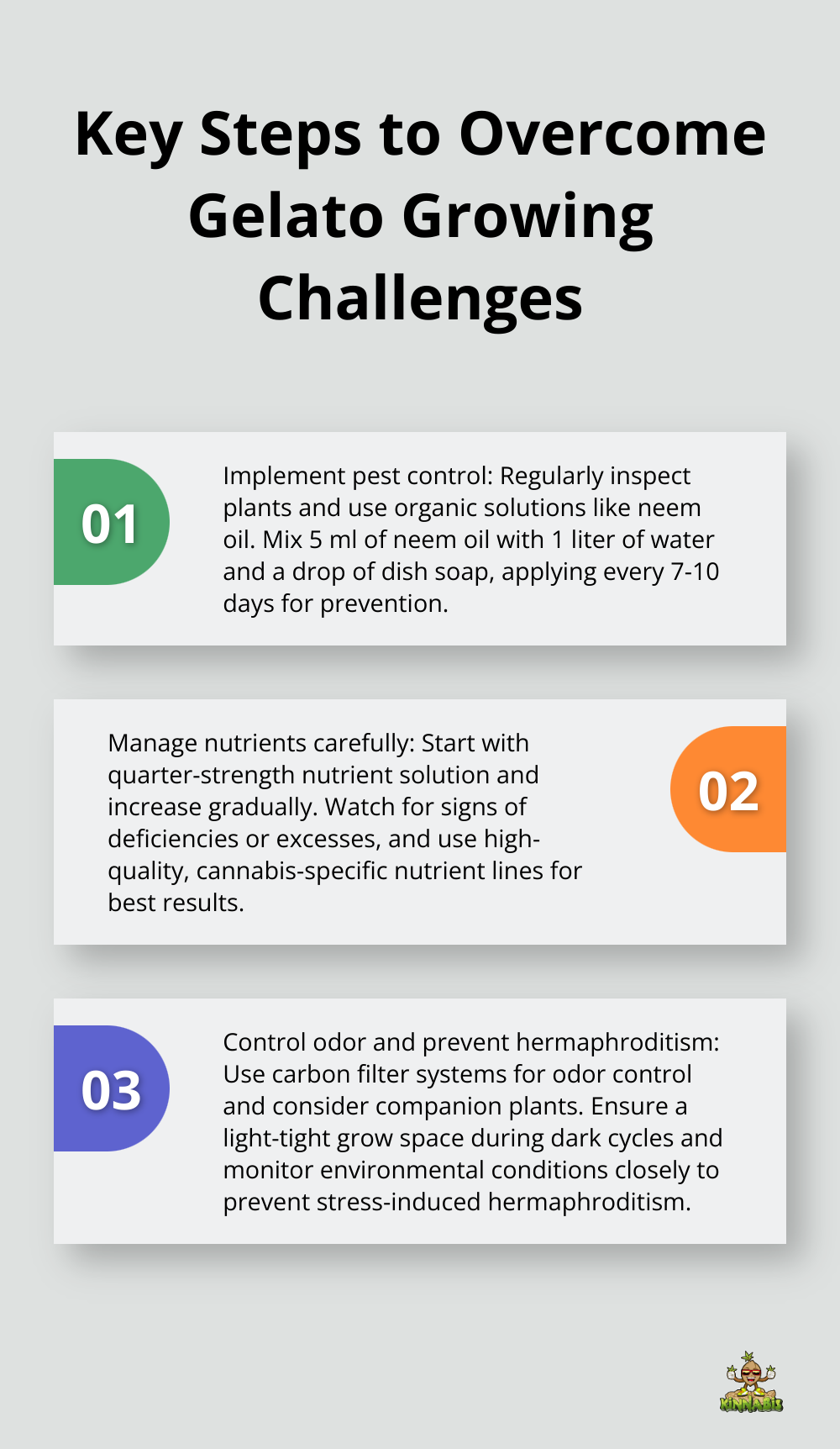 Ordered list chart showing three key steps to overcome Gelato growing challenges - gelato strain grow info