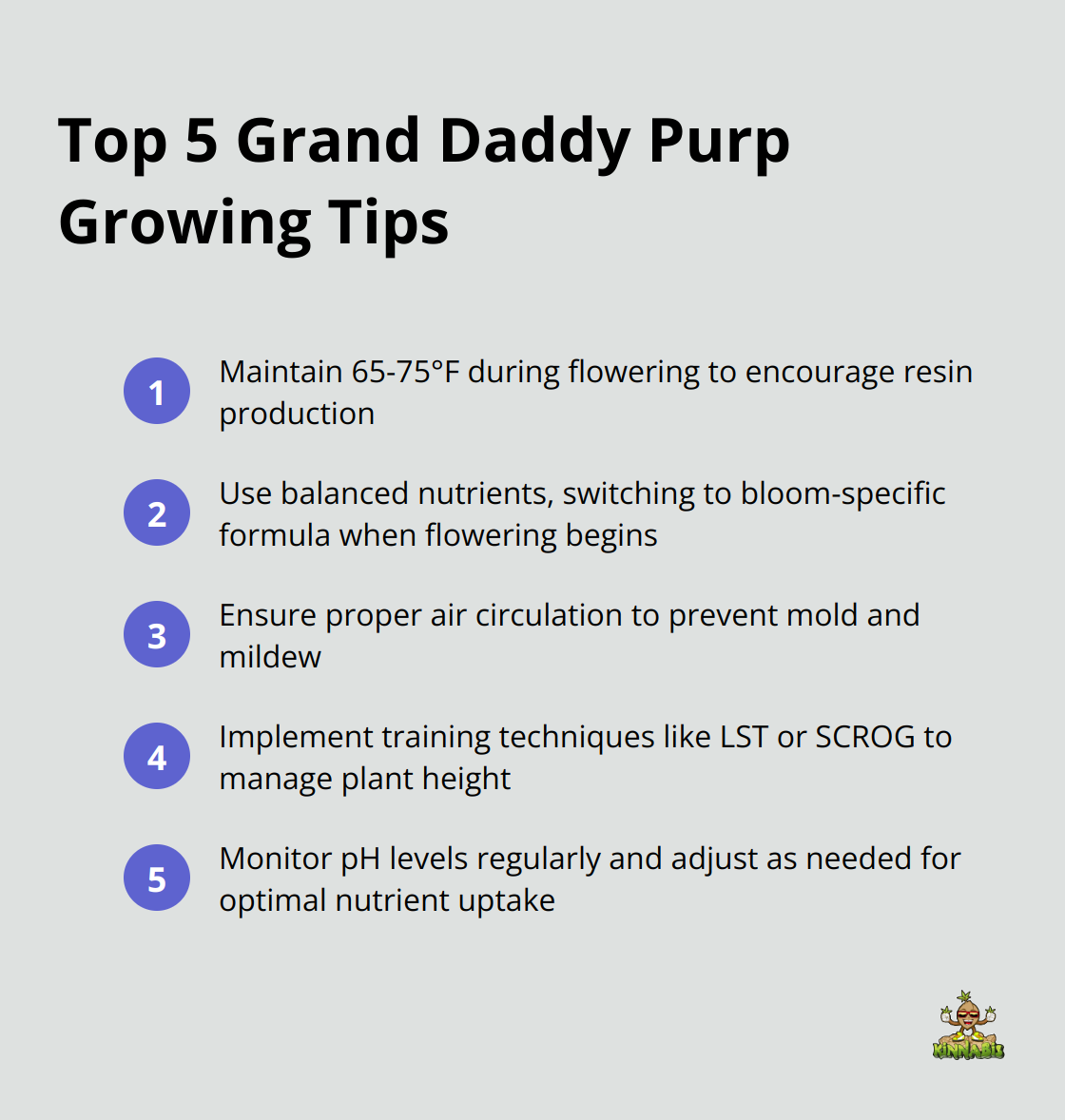 Ordered list showing five key tips for growing Grand Daddy Purp: temperature control, nutrient balance, air circulation, training techniques, and pH monitoring - Grand daddy purp strain reviews