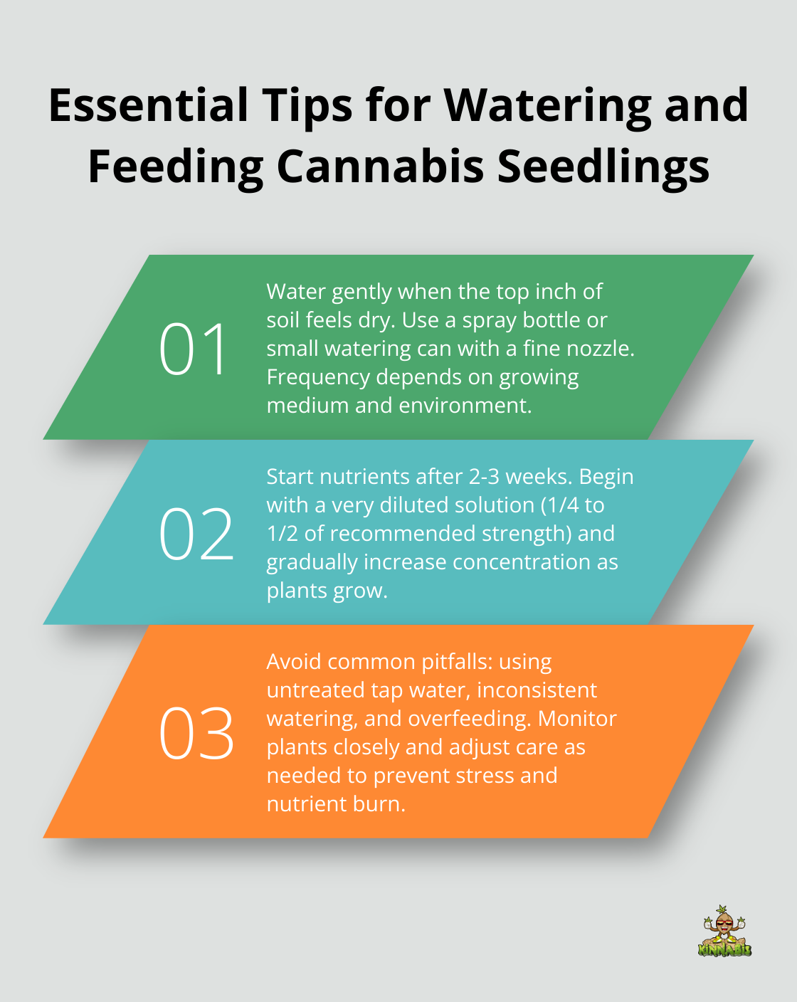Ordered list of three key points for watering and feeding cannabis seedlings: proper watering technique, nutrient introduction, and avoiding common pitfalls