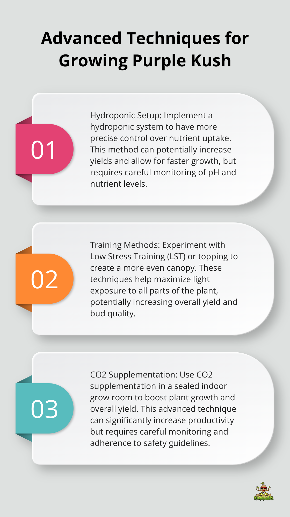 Ordered list chart showing three advanced techniques for experienced Purple Kush growers - purple kush strain info