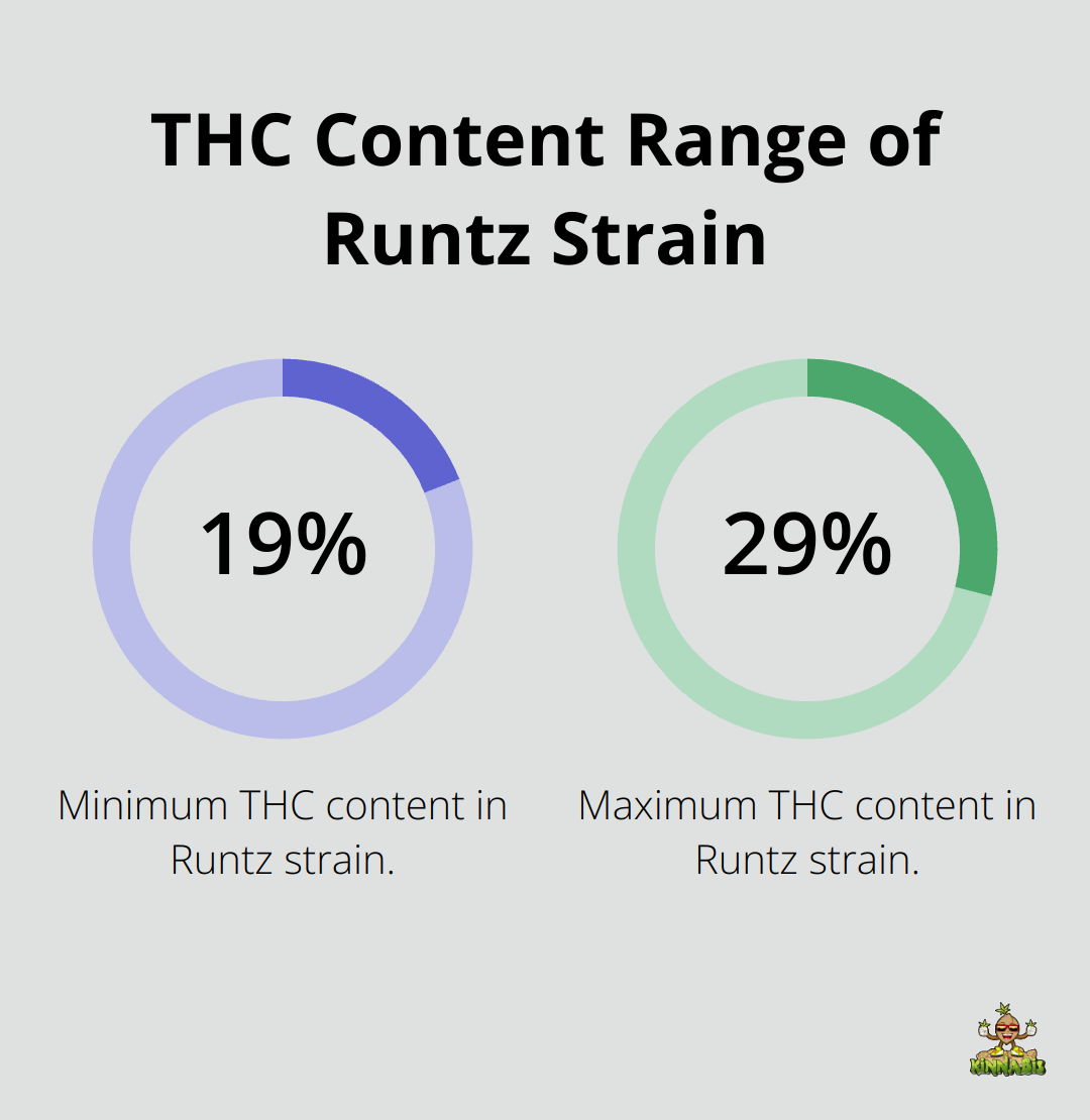 Chart showing the THC content range of Runtz strain: 19% minimum, 29% maximum - runtz strain info