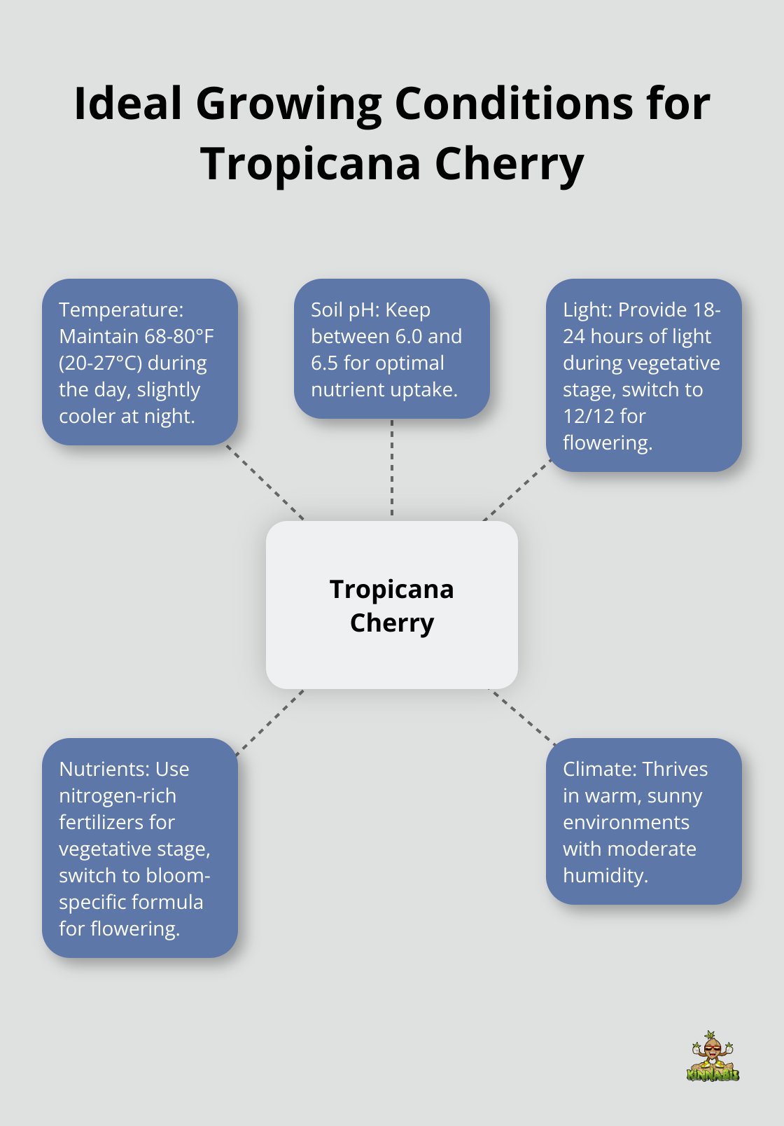 Hub and spoke chart displaying optimal temperature, pH, light, and nutrient conditions for Tropicana Cherry cultivation - tropicana cherry strain info