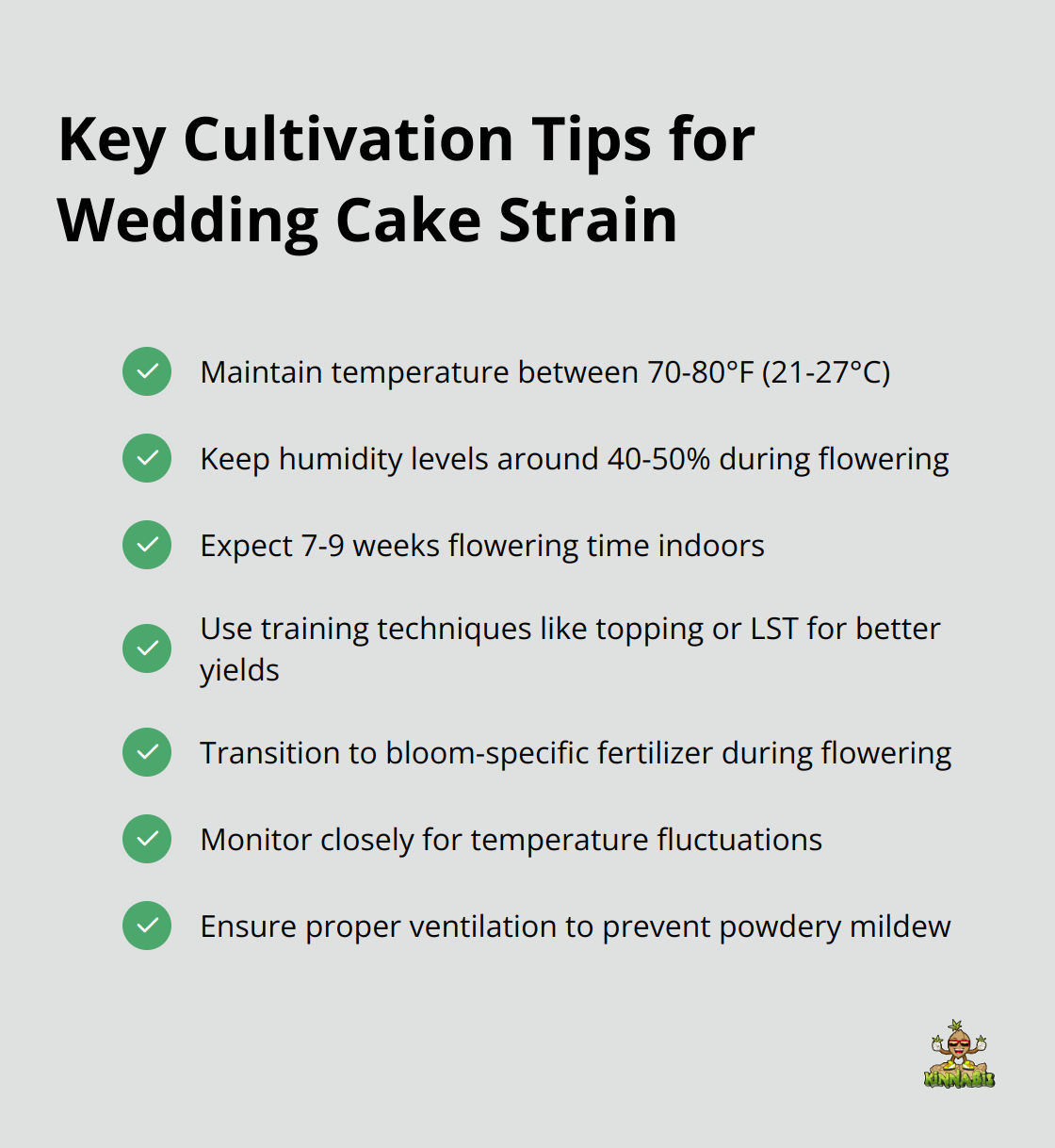 Checklist of important cultivation tips for growing Wedding Cake cannabis strain