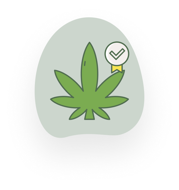 Learn About Your Favorite Cannabis Strain